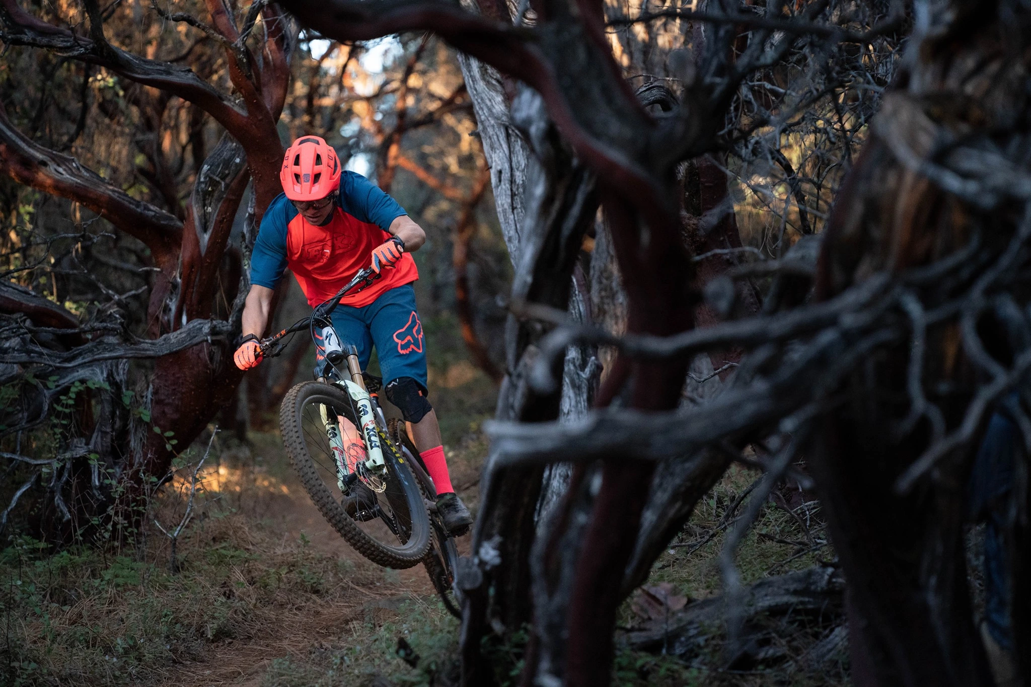 Billig Styr butik 11 Billig Styr butik -Billig Styr butik 175294477 4186527414711593 4024383466535347694 n