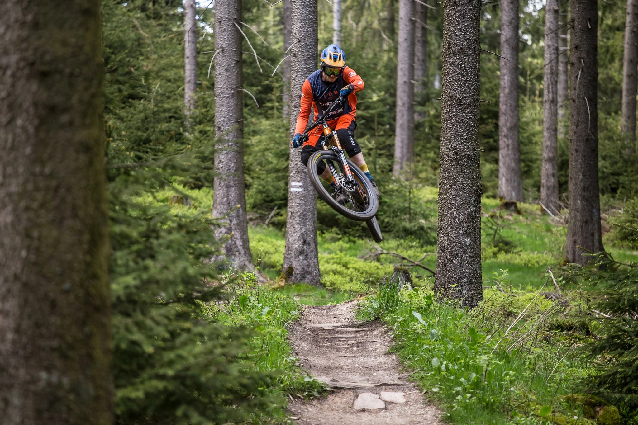 Billig Styr butik 13 Billig Styr butik -Billig Styr butik 232364097 4514573451906986 3610919631413350784 n